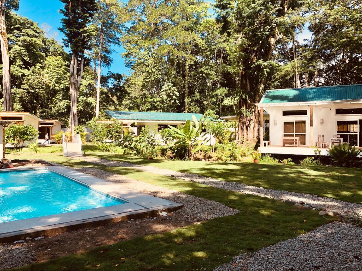 Вилла Sonora Jungle & Yoga Retreat Puerto Viejo de Talamanca Экстерьер фото