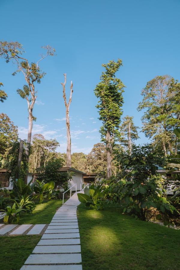 Вилла Sonora Jungle & Yoga Retreat Puerto Viejo de Talamanca Экстерьер фото