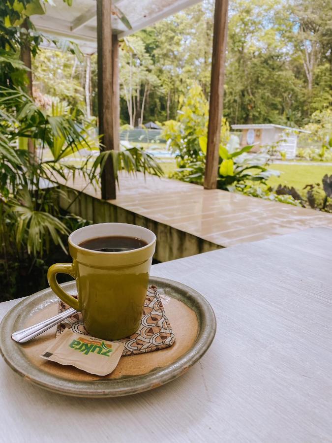 Вилла Sonora Jungle & Yoga Retreat Puerto Viejo de Talamanca Экстерьер фото