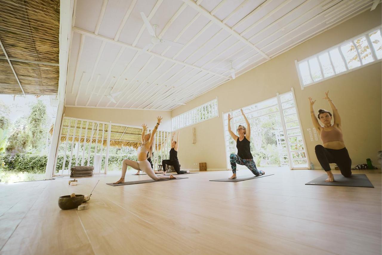 Вилла Sonora Jungle & Yoga Retreat Puerto Viejo de Talamanca Экстерьер фото