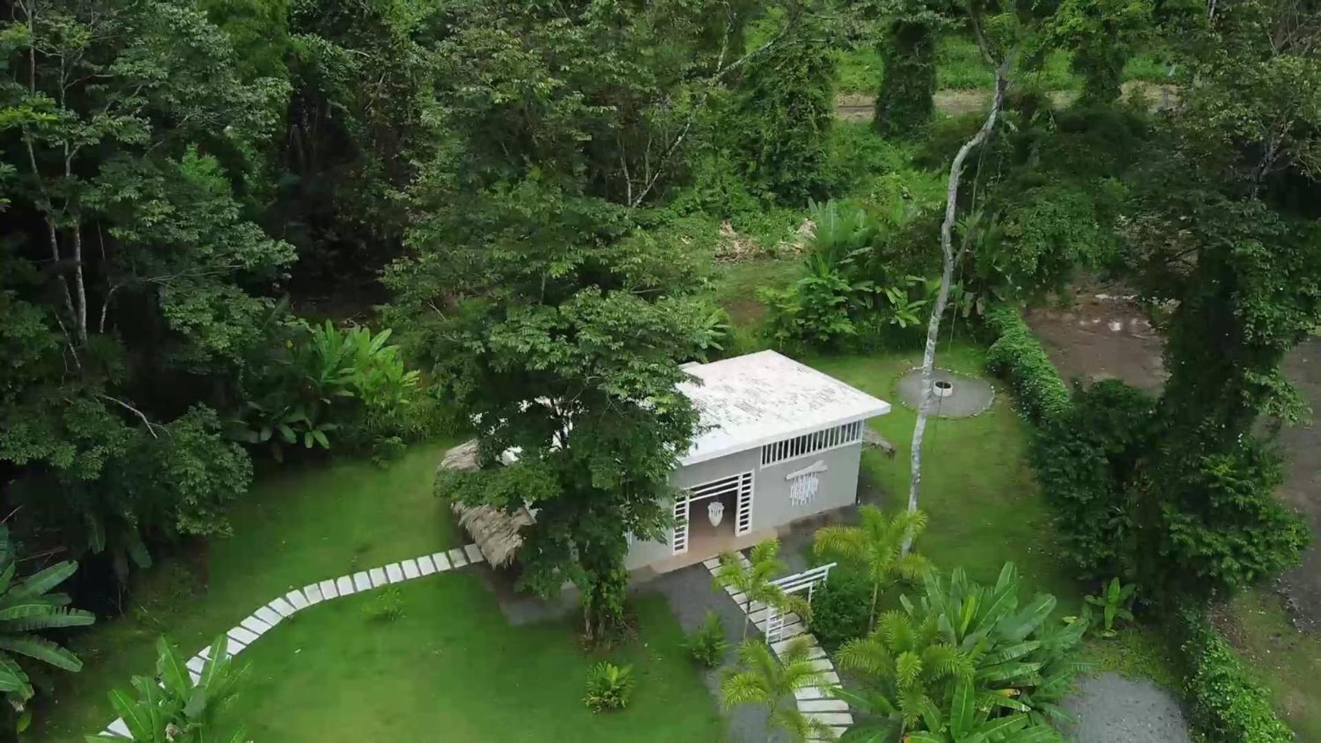 Вилла Sonora Jungle & Yoga Retreat Puerto Viejo de Talamanca Экстерьер фото